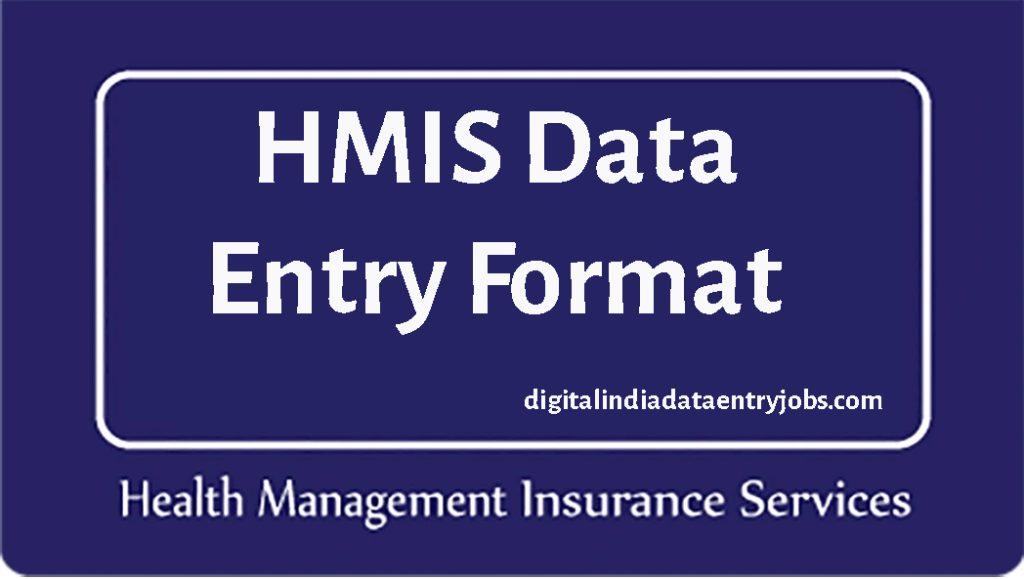 HMIS Data Entry Format