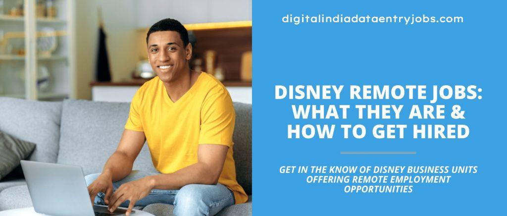 Disney Remote Data Entry