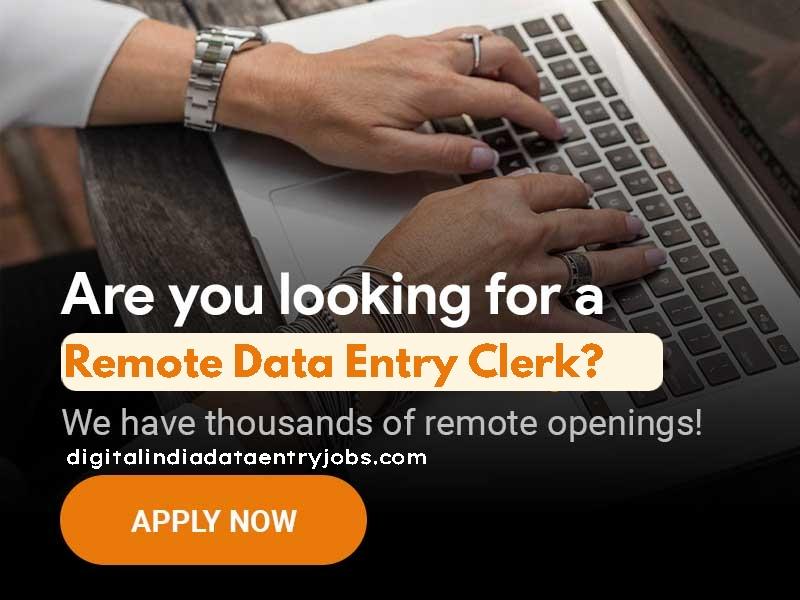 Remote Data Entry Clerk